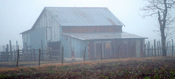 Foggy barn