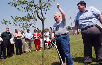 Tree planted in memory of the late Carol Peele Bender