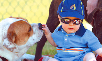 Child and dog