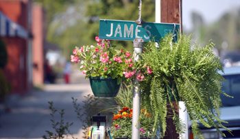 Mount Olive Pickle Festival decorations