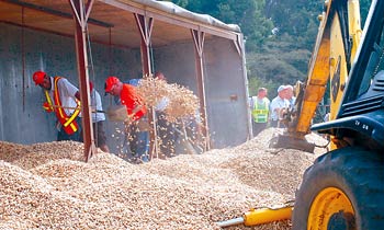 peanut truck overturned