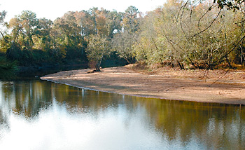 Neuse River