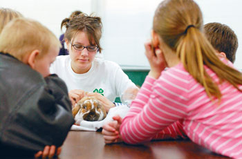 4H Animal Training