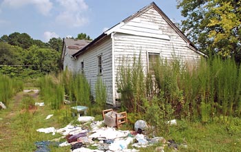 Bethune Avenue House