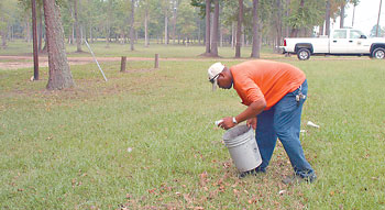 Park Clean Up