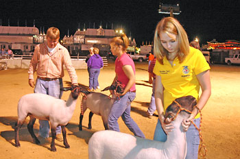 Rosewood FFA students