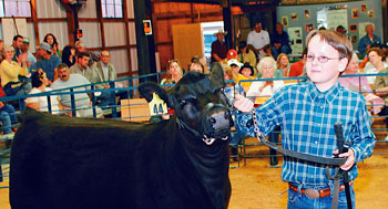 4H Livestock Show