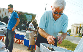 Seafood Stand