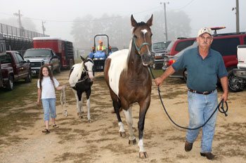 Wayne County Fair