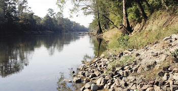 Neuse River