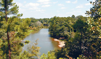 Neuse River Cliffs