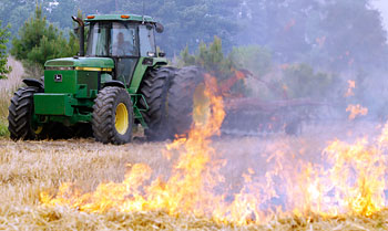 Wheat Field Fire